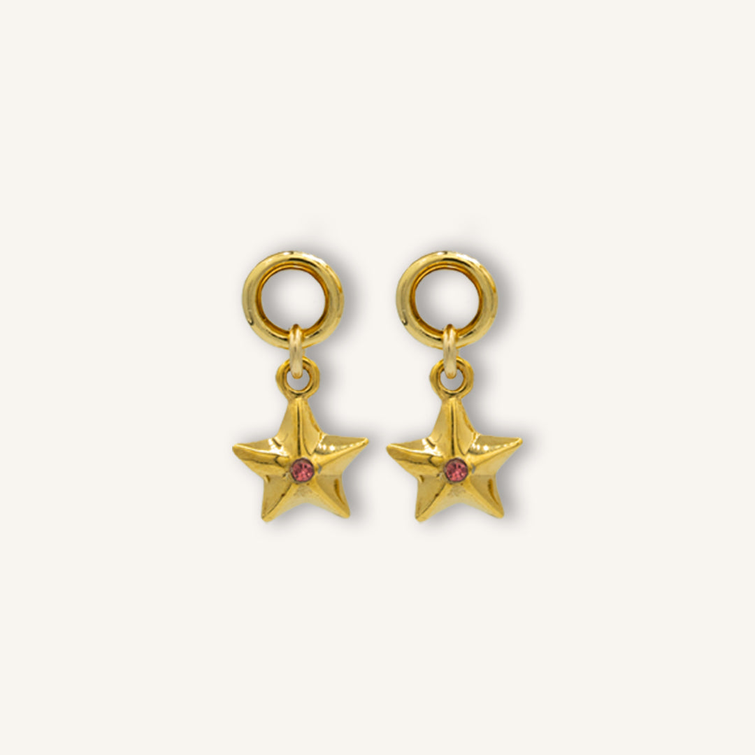 Earring Charms