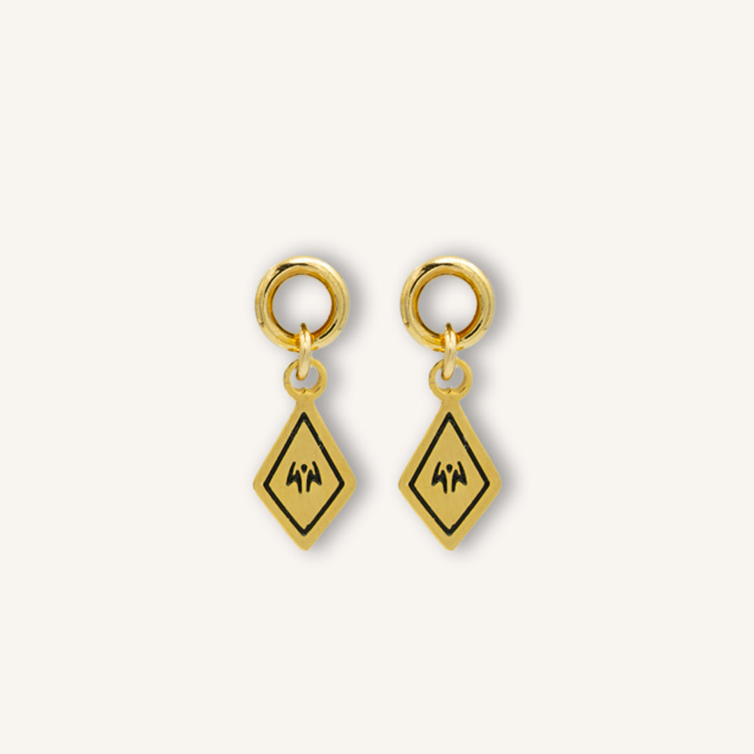 Earring Charms