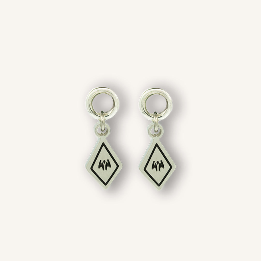 Earring Charms