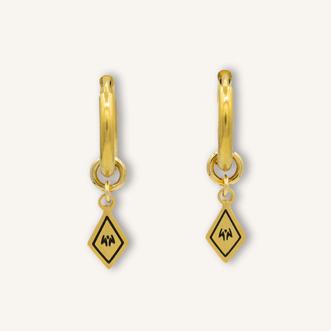 Interchangeable Earrings