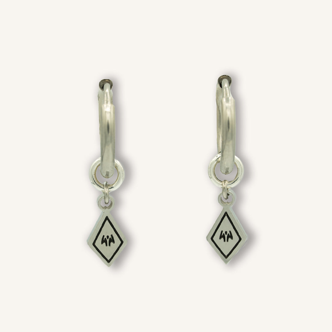 Interchangeable Earrings