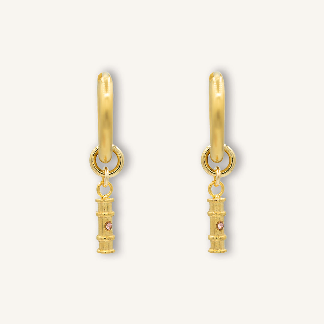 Interchangeable Earrings