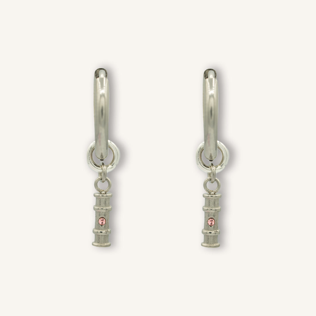 Interchangeable Earrings