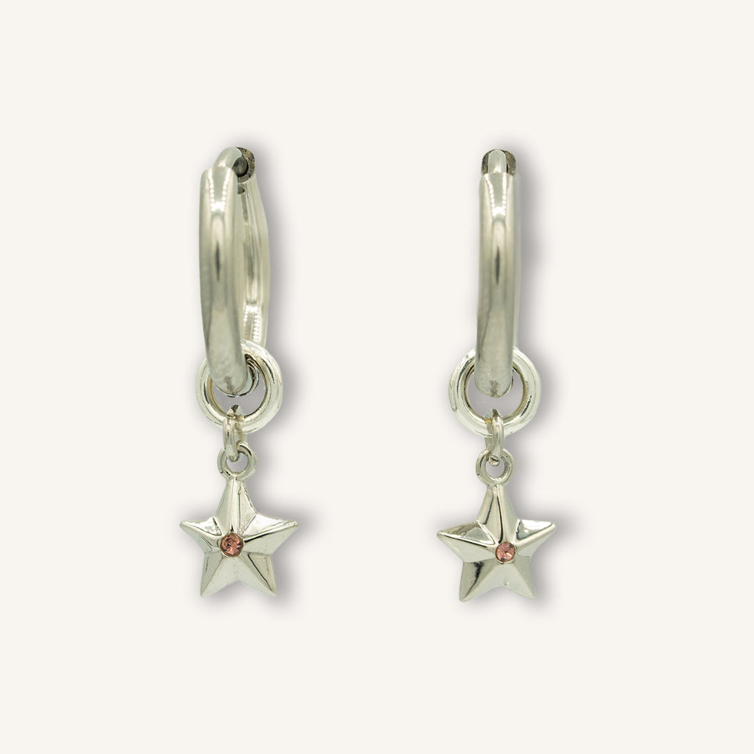 Interchangeable Earrings