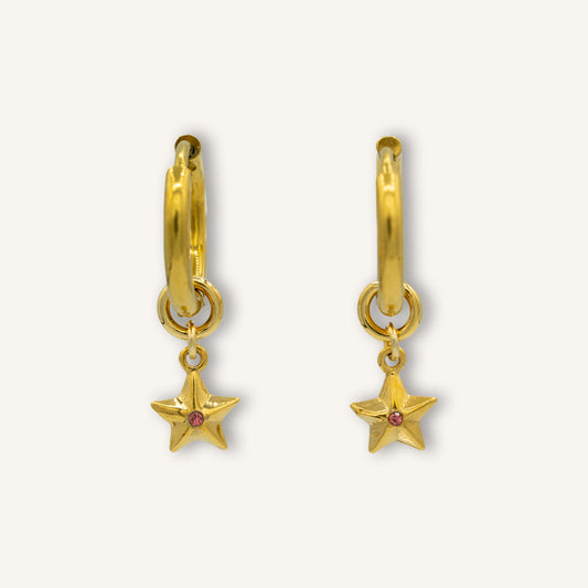 Interchangeable Earrings